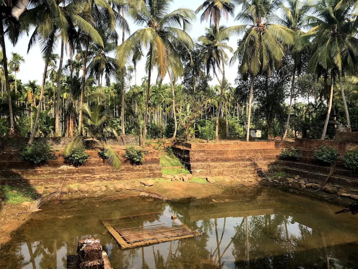 Poyilikavu Sree Karinkali Temple gallery 7